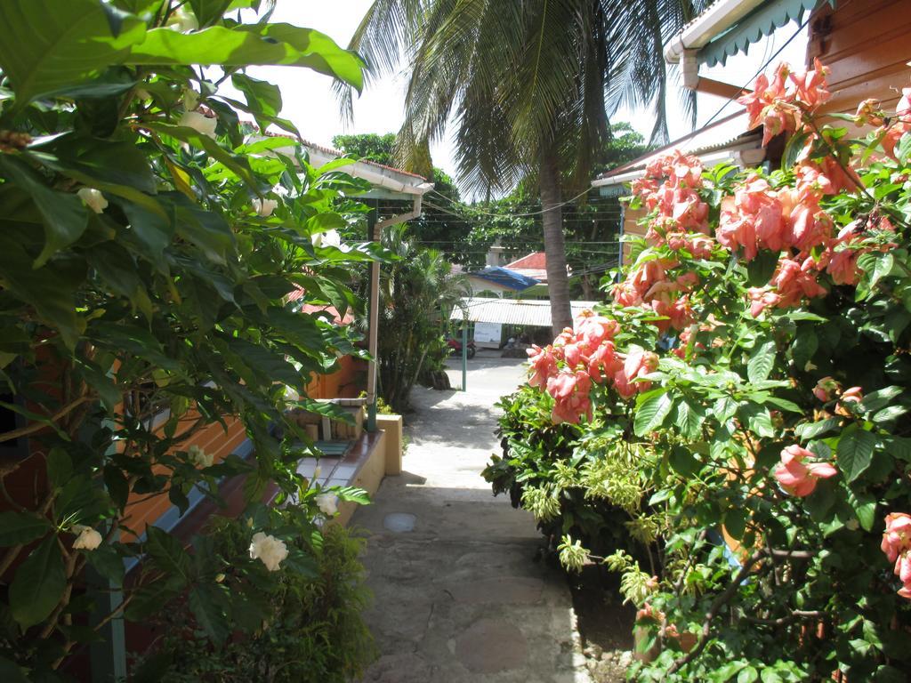 Hotel Flemming Tree Providencia Island Exterior photo