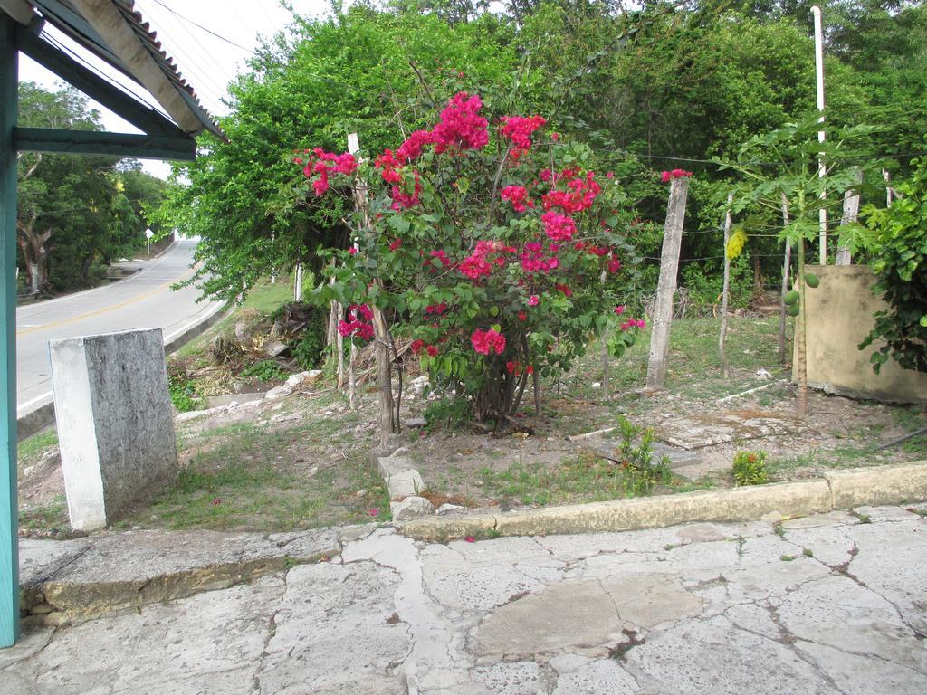Hotel Flemming Tree Providencia Island Exterior photo