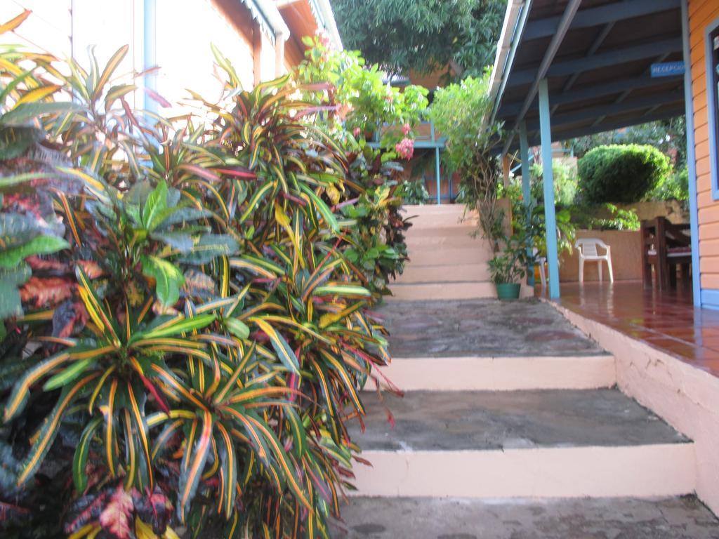 Hotel Flemming Tree Providencia Island Exterior photo