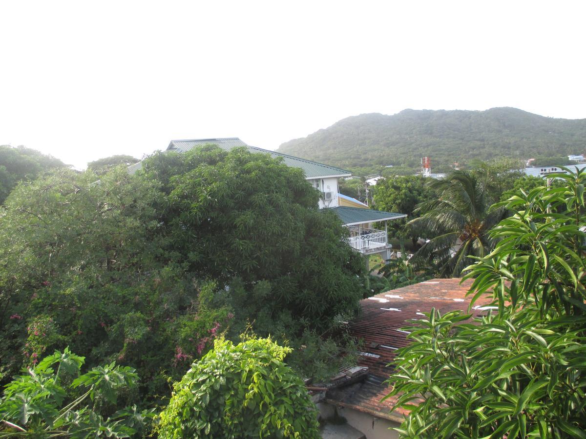 Hotel Flemming Tree Providencia Island Exterior photo